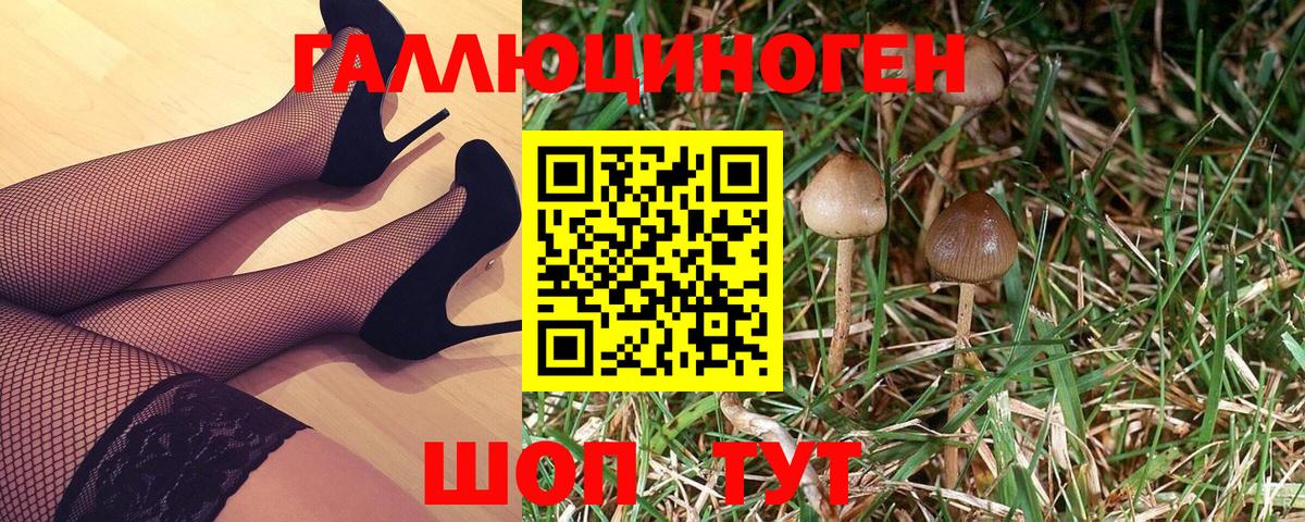 Артёмовский  Галлюциногенные грибы Magic Shrooms  Вход с VPN 