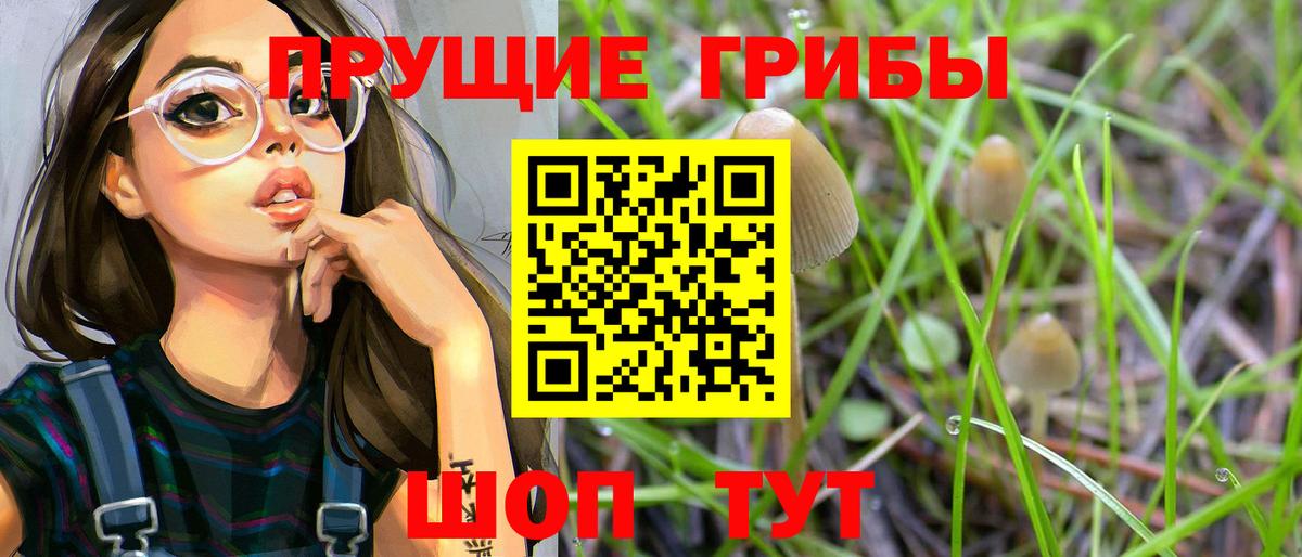 Псилоцибиновые грибы Cubensis Артёмовский